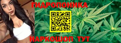mix Лесосибирск
